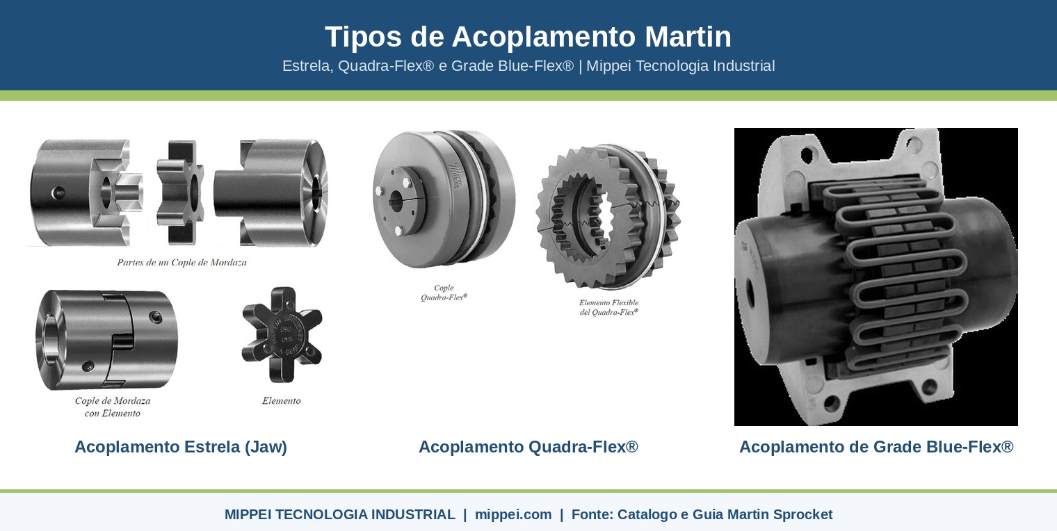 Tipos de acoplamento Martin: acoplamento estrela jaw, Quadra-Flex e grade Blue-Flex - fotos oficiais Martin Sprocket Mippei
